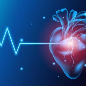 PASCAL System augments treatment armamentarium for severe mitral regurgitation