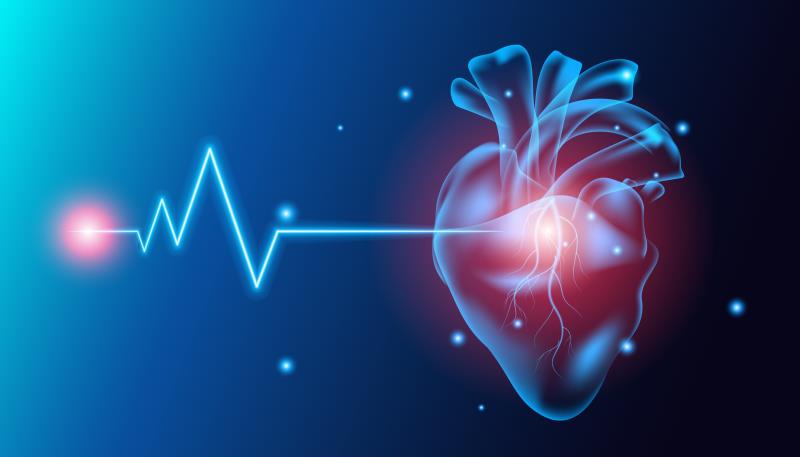 PASCAL System augments treatment armamentarium for severe mitral regurgitation