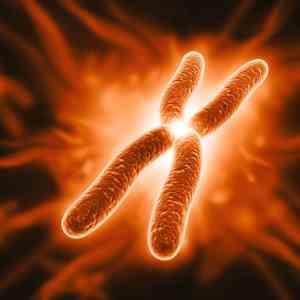 Extrapulmonary manifestations of telomere syndrome tied to shorter survival in IPF