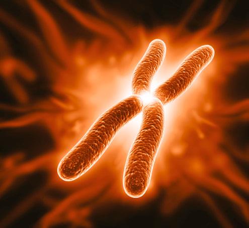 Extrapulmonary manifestations of telomere syndrome tied to shorter survival in IPF