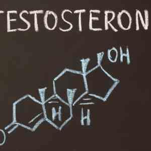 Endothelial function in hypogonadal men unaffected by testosterone replacement