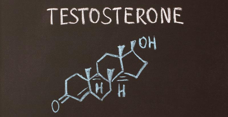 Endothelial function in hypogonadal men unaffected by testosterone replacement