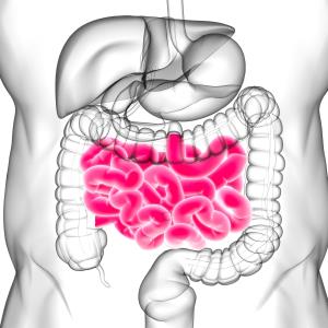 Thalidomide reduces recurrent GI bleeding in patients with small-intestinal angiodysplasia