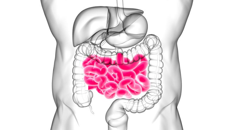 Thalidomide reduces recurrent GI bleeding in patients with small-intestinal angiodysplasia