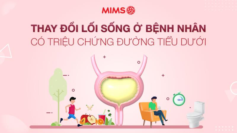 Thay đổi lối sống ở bệnh nhân có triệu chứng đường tiểu dưới