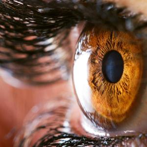 Modified Kane formula trumps other IOL power formulas for keratoconus