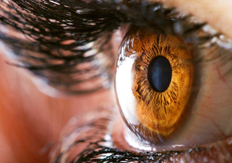 The cornea, the transparent outermost layer of the eye, protects the eye from infection and physical injury.