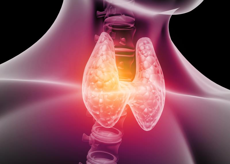 Parathyroidectomy effective for primary hyperparathyroidism regardless of localization technique