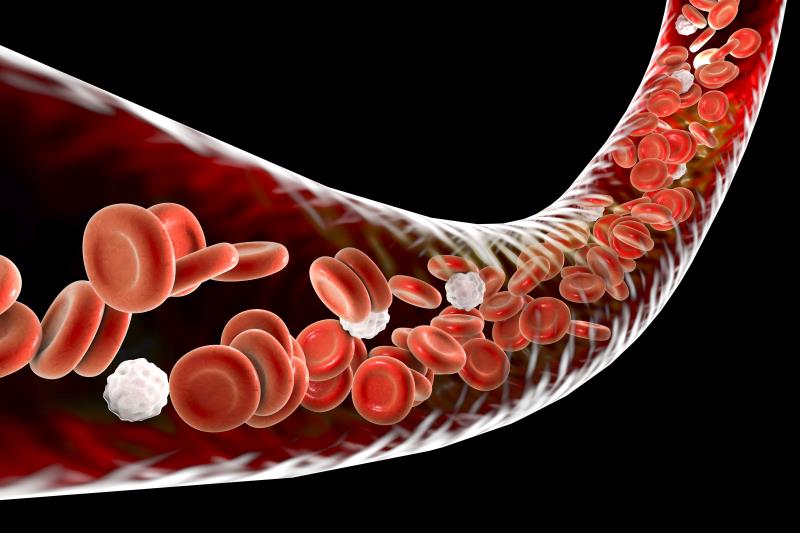 Ticagrelor benefits in TWILIGHT hold up in diabetes