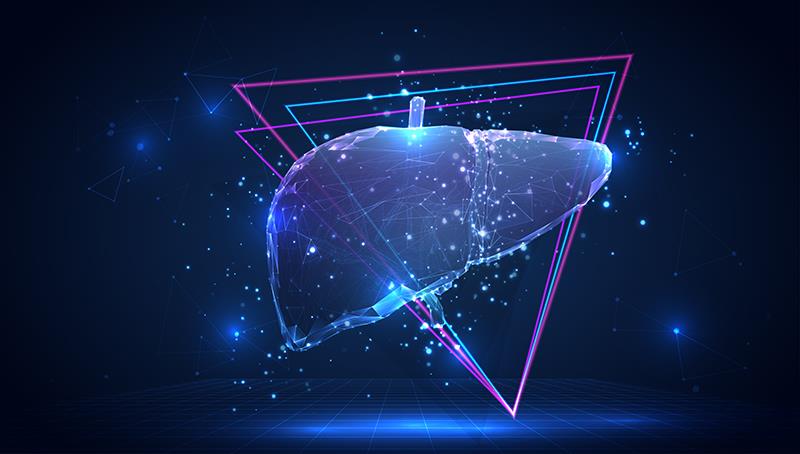 Tirzepatide resolves MASH without worsening fibrosis