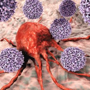 High-dose ipilimumab augments nivolumab benefit for TCC