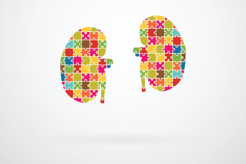 Serum urate may be safely lowered in gout patients with impaired kidney function