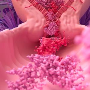 Tranexamic acid as good as norethisterone for HMB treatment