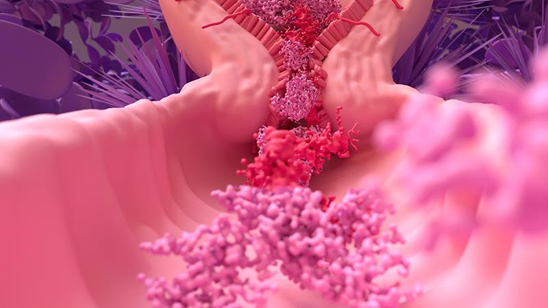 Tranexamic acid as good as norethisterone for HMB treatment