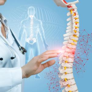 Treating to Target Approach in Osteoporosis Management