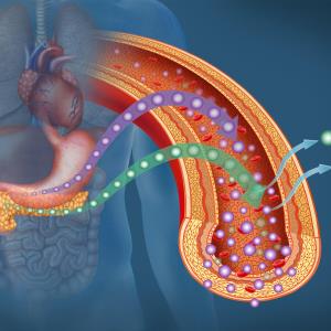 Triple-drug combo reduces HbA1c in T2D