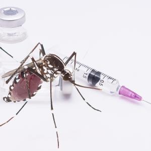 Turning the TIDES with Dengue Vaccination