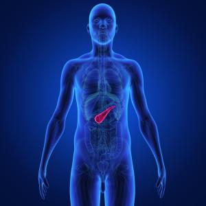 Pancreatic fat volume may predict deterioration of beta cell function in type 2 diabetics