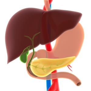 Berberine ursodeoxycholate safe, effective in primary sclerosing cholangitis