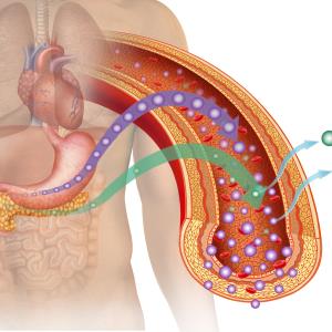 Ultra rapid lispro as good as lispro in reducing HbA1c