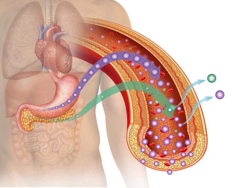 Ultra rapid lispro as good as lispro in reducing HbA1c