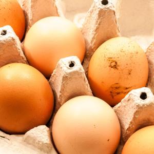 Whole egg intake increases cholesterol efflux capacity in overweight, postmenopausal women