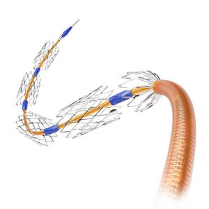 Zotarolimus-, sirolimus-eluting stents perform similarly in diabetics, nondiabetics