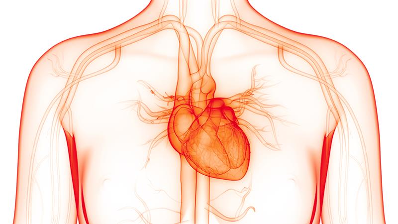 VCS device supports early ambulation without bleeding events after AF ablation