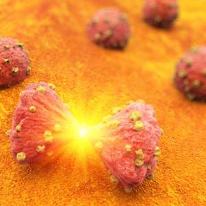 End-of-life immunotherapy uptake on the rise