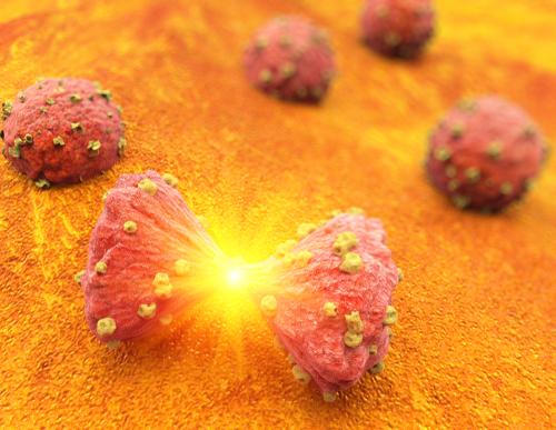 End-of-life immunotherapy uptake on the rise