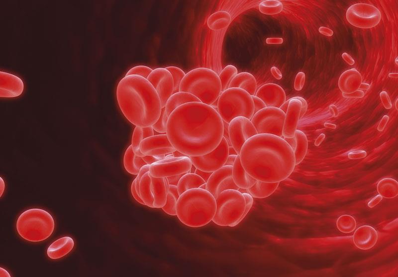 VTE prophylaxis does not reduce bleeding, mortality in medically ill patients