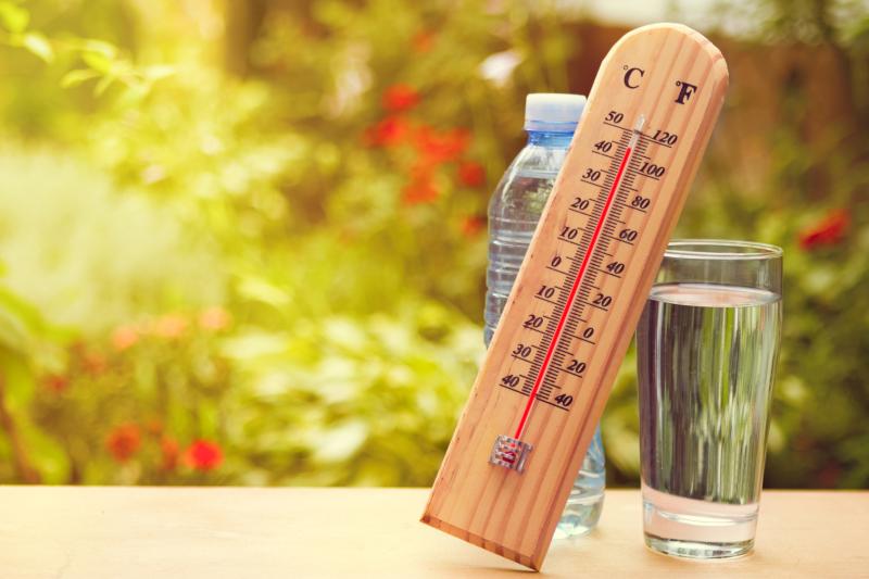 Sweltering weather may be a blessing in osteoporosis