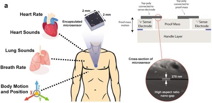 Wearable integrated sensor simultaneously records mechano-acoustic signals