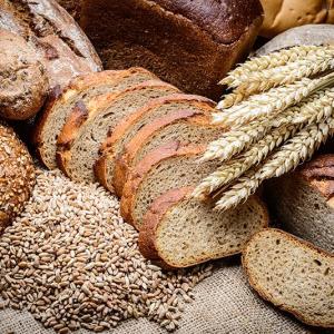 Whole grains improve gut health, cardiometabolic markers in children