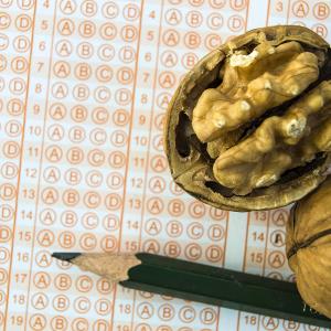 Academic stress may affect uni students’ mental health; walnuts may come to aid