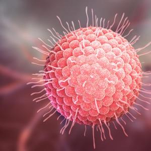 Proton therapy reirradiation confers survival benefits in head and neck cancer, with caveat