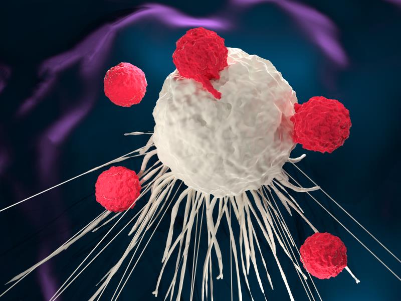 ZUMA-5: CAR T-cell therapy shows promise in R/R non-Hodgkin lymphoma