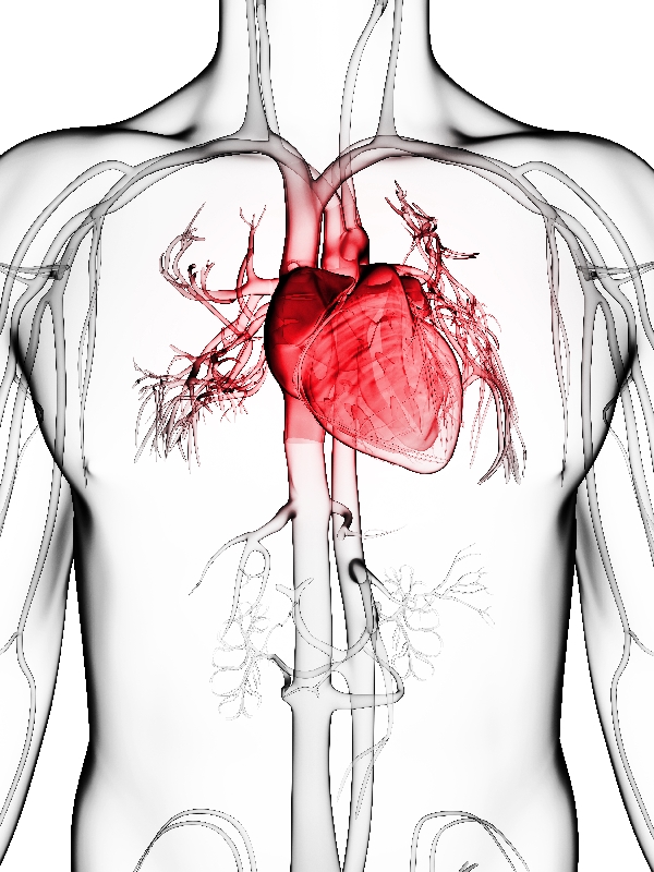Chronic Coronary Syndromes