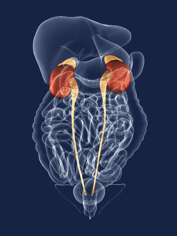 Urinary Tract Infection - Uncomplicated