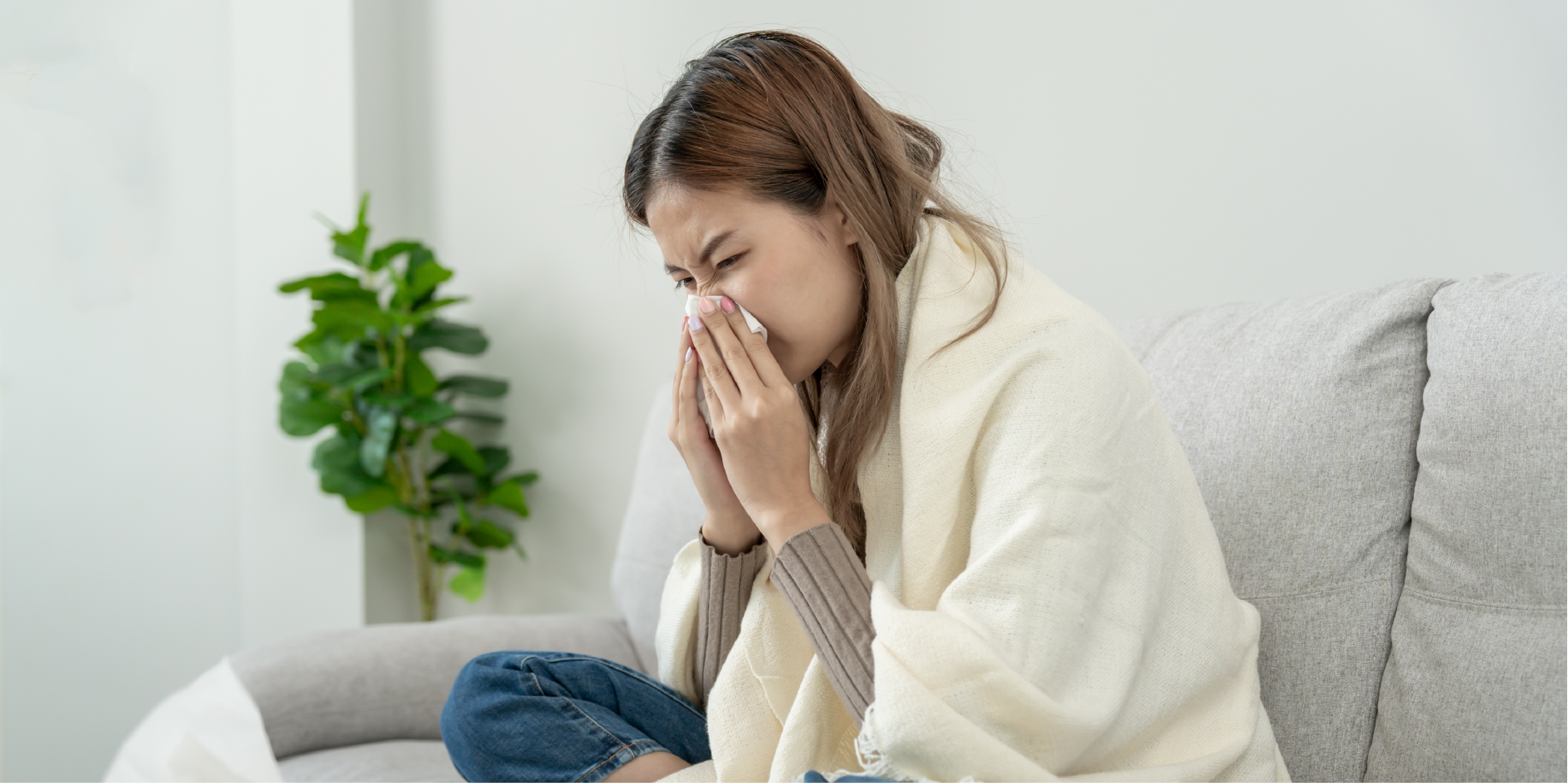 Influenza_Disease Summary