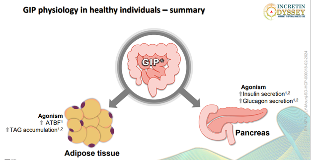 GIP activity in body organs of healthy individuals