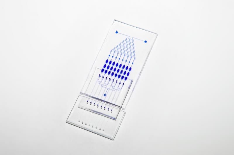 The portable system with a barcode-like microchannel structure has two main components: a cell culture zone (top) and a “barcode” cell sensor zone (bottom).