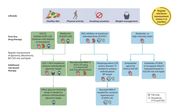 Figure 2. KDIGO 2023 Algorithm for patients with diabetes and chronic kidney disease.