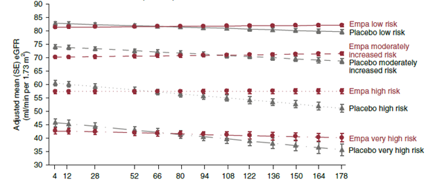 Figure 1. Long-term annual decline in eGFR across all patient subgroups regardless of KDIGO risk