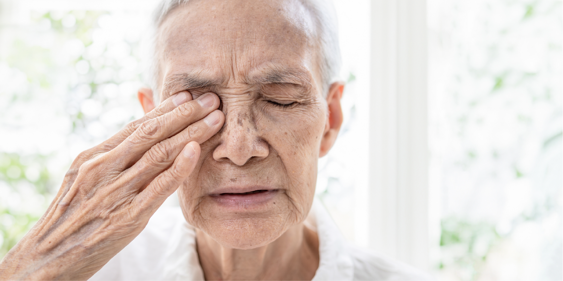 Age-Related Macular Degeneration_Disease Background