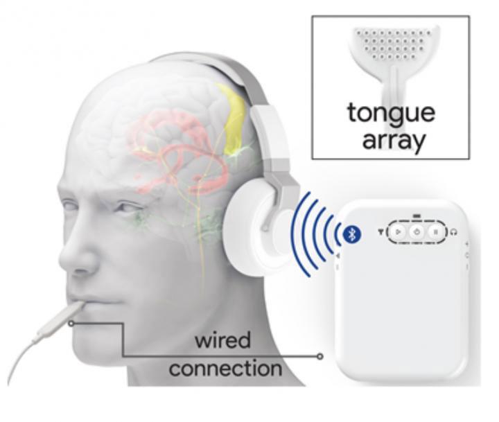 Photo credit: B. Conlon et al., Science Translational Medicine (2020)